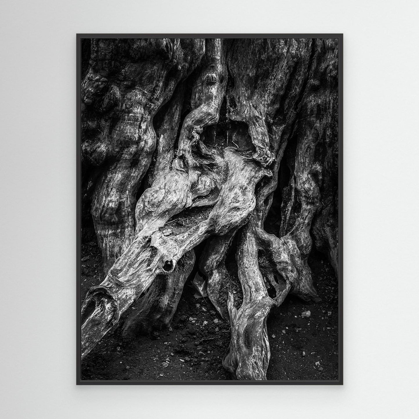 Great Wood